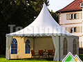 Professionele pagode tent 5x5m 