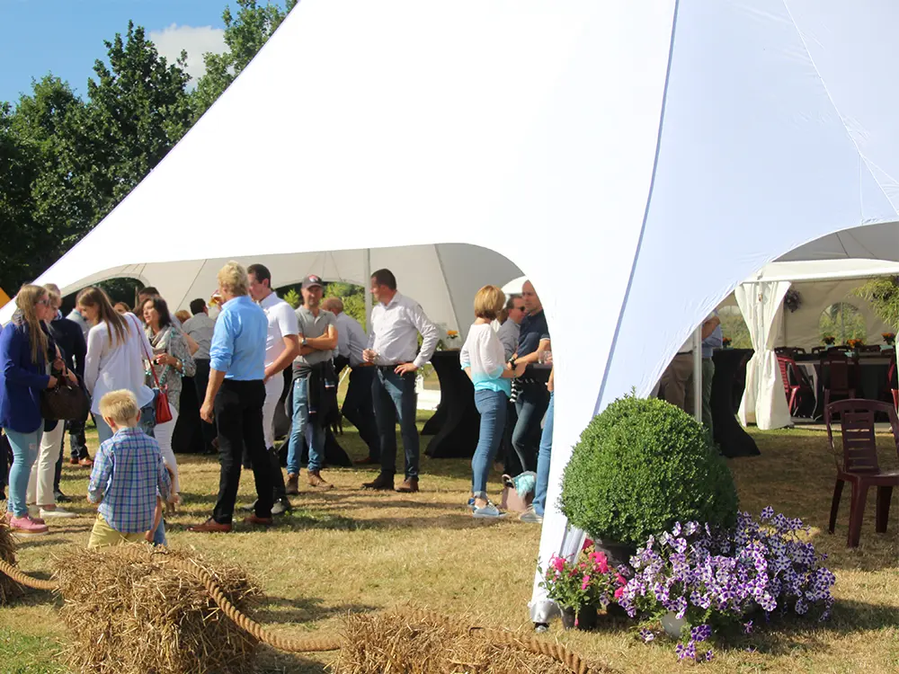 Witte polyester stertent