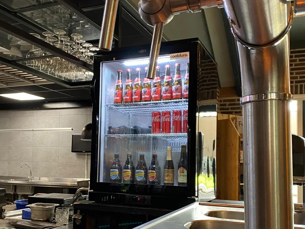 De koelkast met sober design staat elegant op elke bar